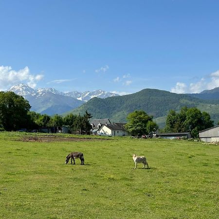 Mobil-Home Cosy, Calme, Therme, Aquensis, Casino Bagneres-de-Bigorre Exterior photo
